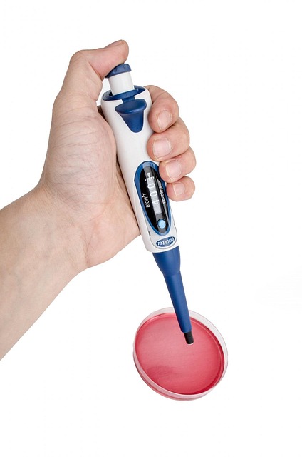 Care Plus dental in Bangalore