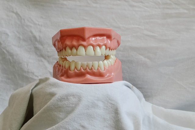 AVMSmiles Dental Clinic - Sahakar Nagar, Bengaluru in Bangalore