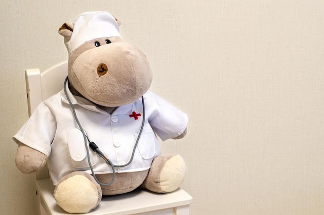Annmees Veterinary Hospital in Bangalore