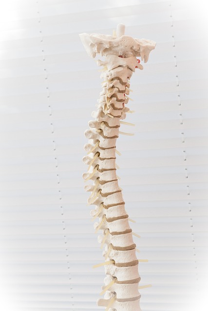 The Family Doctor physiotherapy clinic in Bangalore